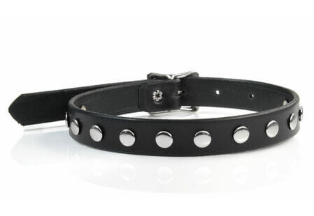 Leather Choker with One Row of Rivets and a Buckle