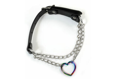 Rainbow Heart and Chain Slip Leather Choker